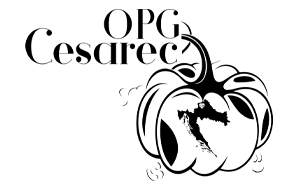opg-cesarec-logo-300